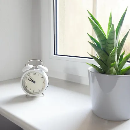 Gründerzeitwohnung Unweit Der Altstadt Apartment Erfurt