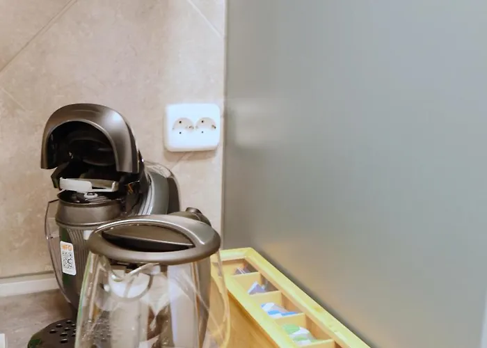 Gruenderzeitwohnung Unweit Der Altstadt Erfurt