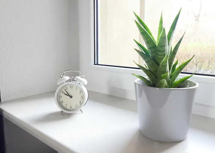 Gruenderzeitwohnung Unweit Der Altstadt Appartement Erfurt